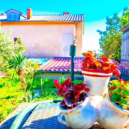 Vacation Home Grill & Chill With 350M2 Garden With Bbq ノヴィ・ヴィノドロスキー エクステリア 写真